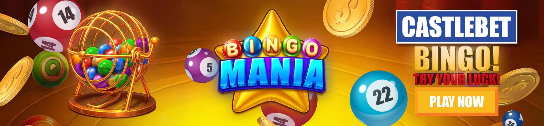 Bingo Mania