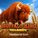 Buffalo King Megaways